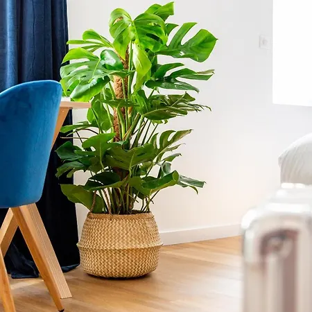 Calme & Chic Bleu - Proche Gare Et Centre